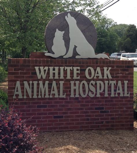 White oak animal hospital - White Oak Animal Hospital, Fredericksburg, Virginia. 2.4K-kut nakuaġigaat · 43 talking about this · 1,381 maani inŋaruat. White Oak Animal Hospital in Stafford, VA